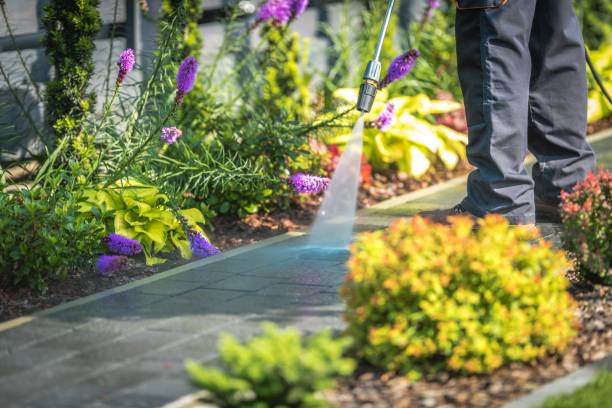 Best Dumpster Area Cleaning  in Jeffersontown, KY