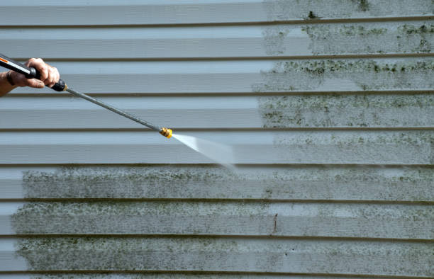 Best Driveway Pressure Washing  in Jeffersontown, KY